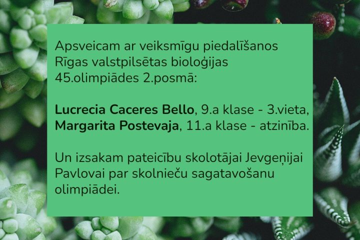 486 lepojamies 6